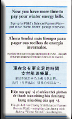Con Edison Pamphlet